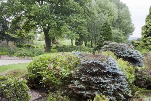 gorgeous the copse 32.jpg
